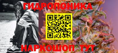 мдпв Абакан