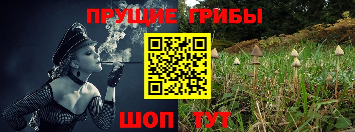 как найти   Псилоцибиновые грибы ЛСД  Вход с VPN  Александров 